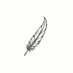 Obraz premium Detailed sketch of a single feather