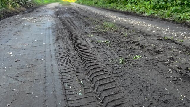 Car tire marks on ground