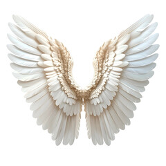 Fototapeta premium Detailed image of pristine white angel wings, showcasing a symmetrical, feathered design on black