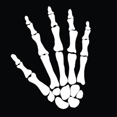 Creepy Skeleton Hand Bones Vector Illustration