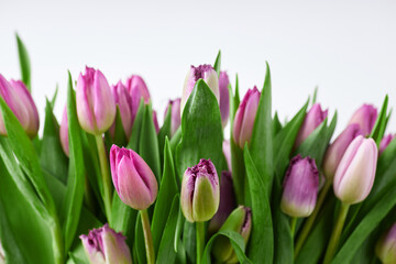 Pink and purple tulip bouquet with green leaves on white background, close-up floral arrangement
