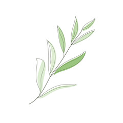 Delicate watercolor illustration of a green olive branch with leaves