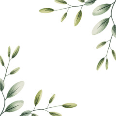 Delicate watercolor olive branches framing a white background