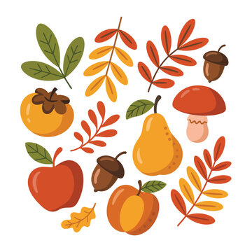Autumn harvest of fruits vegetables and leaves illustration