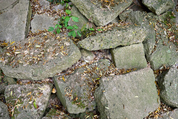 Old mossy concrete blocks covered with dry leaves and small plants. Weathered stones forming a natural textured background, symbolizing decay, nature, and time.