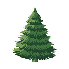 A lush green pine tree with a conical shape and full branches