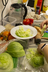 Close up of food with green leaves, showing fresh herbs and vegetables as part of a healthy human diet, reflecting nutrition balance and natural eating habits.