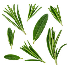 Isolated close-up of various rosemary sprigs and leaves against a dark background