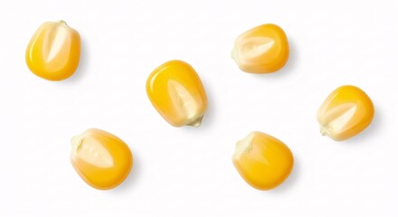 Top view of raw corn kernels for making popcorn, macro photo isolated on a white background.