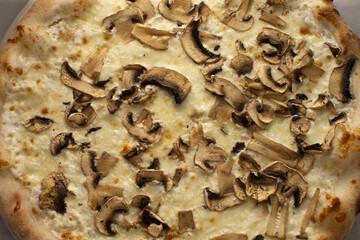 Pizza with mushrooms served as a meal, showing baked toppings with cheese and tomato sauce, reflecting Italian cuisine.