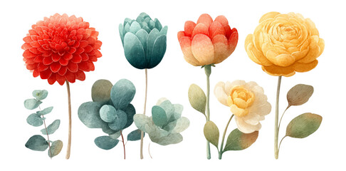 Beautiful Floral Elements with Vibrant Colors and Unique Shapes on Transparent Background