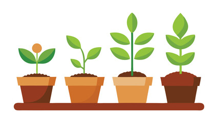 Fresh Green Sprouting Plants Isolated Clipart