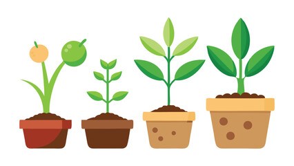 Eco-Friendly Green Plants in Pot Collection Illustration