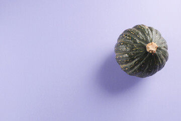 Green pumpkin on purple background