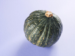 Green pumpkin on purple background