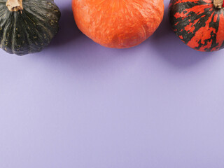 Three colorful pumpkins on purple background