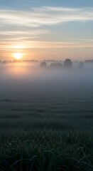 Misty Sunrise Over a Field - A Serene Morning Landscape.