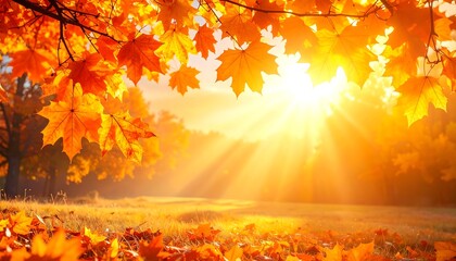 A sunlit autumn landscape featuring vibrant orange leaves and a bright sun illuminating a meadow and distant trees