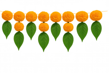 Marigold and mango leaf toran forming a traditional hindu festival decoration against a transparent background