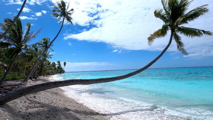 Luxury resort photo of Bora Bora tropical paradise island with palm trees.  Photography with coral...