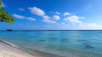 Luxury resort photo of Bora Bora tropical paradise island with sandy beach. Photography of azure...