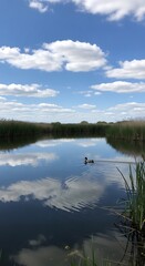 Reflections on Tranquil Waters - A Serene Pond Scene.
