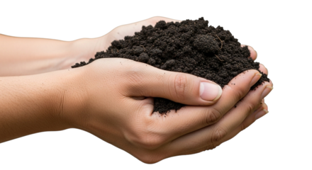 Hands cradling rich, dark soil symbolizing growth, nature, and environmental responsibility, perfect for agriculture, gardening, and eco-friendly branding isolated on PNG backgrounds