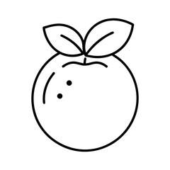 blueberry outline line art vector