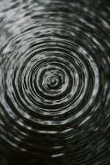 Dark Concentric Water Ripples Creating Hypnotic Circular Pattern From Central Impact Point On Calm Pond Surface With Grayscale Tones And Natural Wave Motion