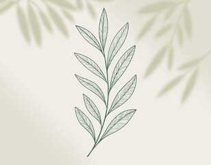 Fototapeta premium A beautifully illustrated green leaf branch showcasing delicate details, symbolizing nature's beauty and freshness against a soft, gradient background.