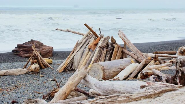 A scenic and atmospheric view of large pieces of pacific coast driftwood scattered along the ocean's shore on a moody, foggy day