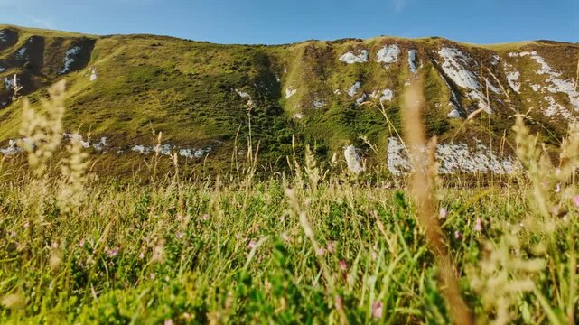 Samphire Hoe country park, Dover, Kent, England, UK, with chalk cliffs, sea wall paths and coastal meadows