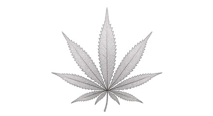 Cannabis Leaf Illustration - A Detailed Botanical Study in Gray.