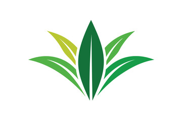 Fototapeta premium Sugar cane leaf bird feather icon design