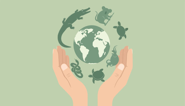 Flat Vector Illustration of Safari Vehicle Exploring Jungle with Australian Wildlife &ndash; Steve Irwin Day Concept
