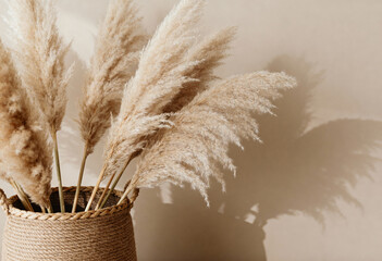 Pampas grass in jute-wrapped pot, minimal studio object photography
