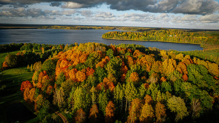 Aerial view of a lake surrounded by a colorful autumn forest, with golden, orange, and green trees glowing under a bright blue sky with scattered clouds.