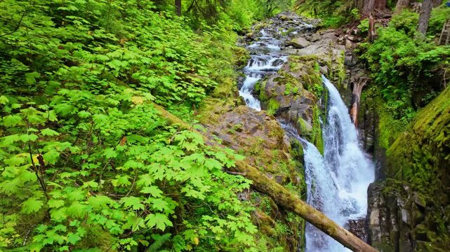 A scenic view of the powerful Sol Duc Falls cascading dramatically on a bright summer day in Olympic National Park