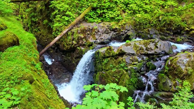 A scenic view of the powerful Sol Duc Falls cascading dramatically on a bright summer day in Olympic National Park