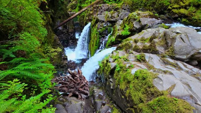 A scenic view of the powerful Sol Duc Falls cascading dramatically on a bright summer day in Olympic National Park