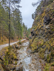 Mountain stream flowing through rocky gorge surrounded by dense coniferous forest in Tatra Mountains National Park near Zakopane Poland. High quality photograph