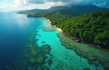 Fototapeta premium Aerial view of vibrant rainforest bordered by coral ecosystem in Solomon Islands. Rich plants meets turquoise sea water. Mountain range in background under cloudy sky. Tropical island landscape with