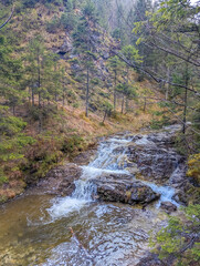 Shallow mountain stream flowing over rocky bed surrounded by coniferous forest in Tatra Mountains National Park Zakopane Poland. High quality photograph