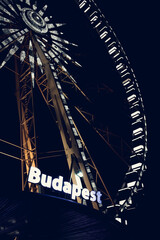 Budapest skyline with the bridge and castle in the night