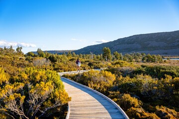 boardwalk in the mountains