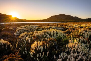 sunrise over the mountains