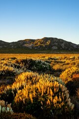 sunset over the mountains