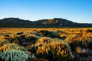 landscape with mountains