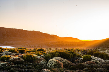 golden sunlight in the valley