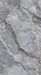 Fototapeta premium Intricate patterns of gray marble display natural beauty and texture found in stone surfaces for interior design use - Low Contrast